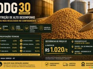 DDG Premium 30% Proteína - CIF Brasil