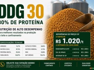DDG Premium 30% Proteína para Nutrição Animal