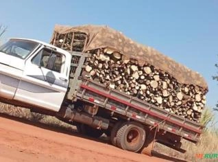 Lenha seca laranjeira