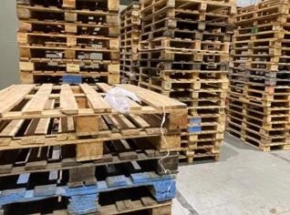 Paletes Padrão Usados em Florianópolis