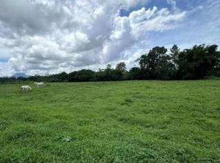 Lote de Terreno em Saquarema - 450m²