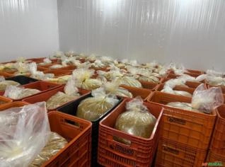 Polpa de Fruta Maracujá Natural - 100% Pureza