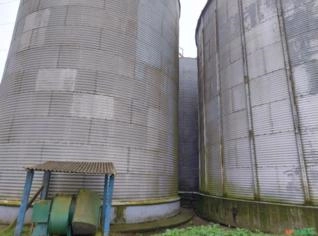 Secador Completo 40t em Castro - PR