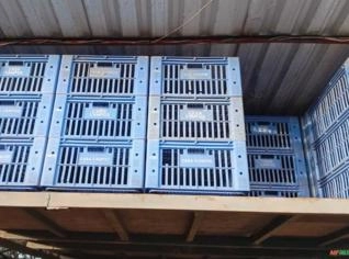 Caixas BR1000 - Embalagens de qualidade
