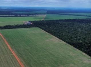 Chácara 4 Hectares - Oportunidade em Sinop - MT