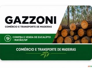 Compro Eucalipto em Matão - Oportunidade Única!