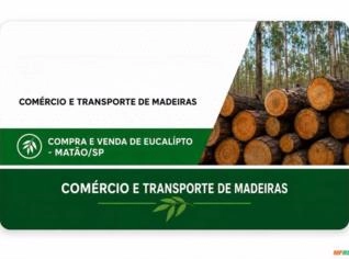 Compra de Eucalipto em Matão/SP - Lenha & Projetos