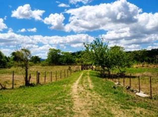 Fazenda Coqueiro Alegre - 10 hectares à venda