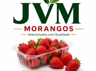 MORANGO CONGELADO PREMIUM