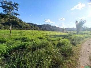 Fazenda 297 ha em São Félix do Xingu/PA à Venda