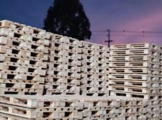 Pallet de Eucalipto em Jaguariaíva