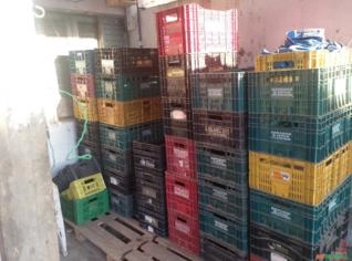 40 caixas de Hortifruti em São Paulo