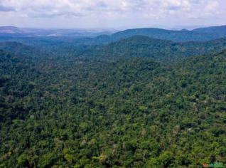 Fazenda de 22.000 Ha em Novo Aripuanã
