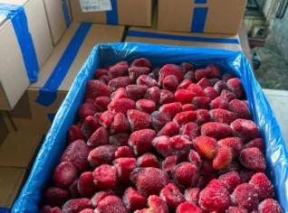 Morango Fresco em Pacote 10x1 kg - Lages, SC
