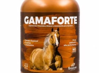 Suplemento Mineral Gamaforte para Equinos