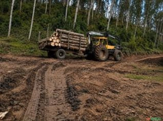 Munck Florestal 1994 com Grua Hidráulica