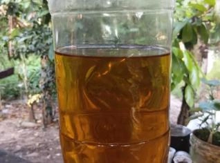 Óleo de Andiroba Puro - Qualidade para Cosméticos