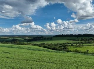 Fazenda Produtiva em Franca - SP