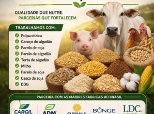 Caroço de Algodão - Venda Direta