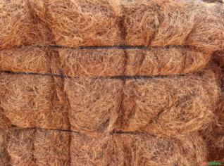 Fibra Longa de Coco - RN