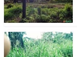 Sítio em Santarém, PA - Oportunidade Imperdível