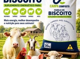 Farelo de Biscoito - Nutrição Animal PE