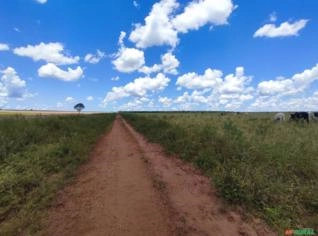 Fazenda 532 Hectares em Canarana - MT