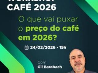 Café de Qualidade em Bacabeira, MA