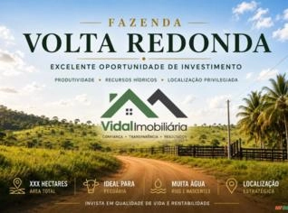 Fazenda 181 ha à Venda em Santarém-PA - Pecuária e Agricultura