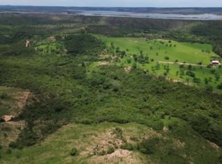 Fazenda Bela Vista - Paracatu, MG