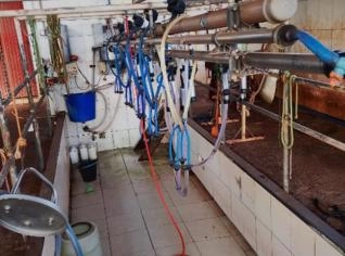 Ordenha Eletrônica em Iporã, PR