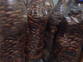 Venda de Castanha de Baru 2L - Ponto Chique, MG
