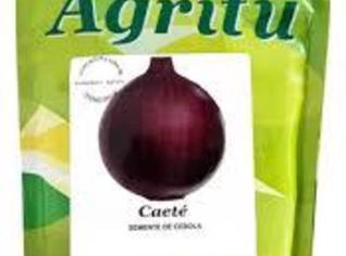 Sementes de Cebola Caeté Roxa - 500g