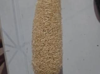 Esponja Vegetal - Pacote com 10 Unidades