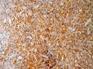 Rolão de Milho à venda em Carira - R$ 27,00 atacado
