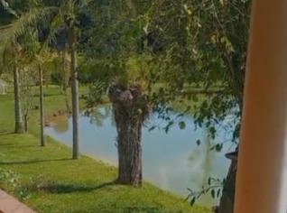 Sítio com piscina em Ibiúna - SP
