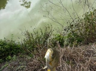 Sítio na Bahia com Tanques de Peixe
