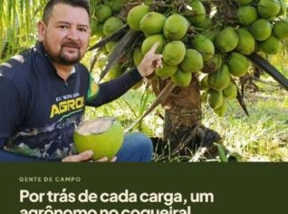 Coco Verde e Maduro Fresco - Russas, CE