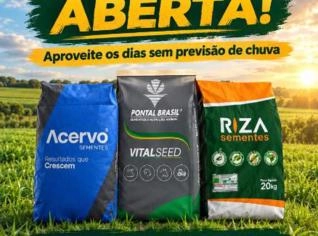 Sementes de Pastagem - Brachiaria e Panicuns