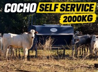 Cocho Self Service - Grande, Medio e Pequeno em Anápolis