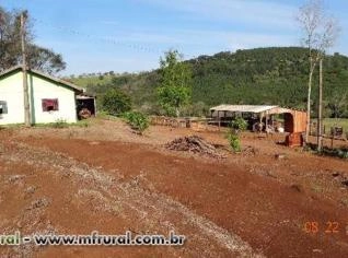 Fazenda de 129 Hectares com Casa e Curral em Diamante do Oeste
