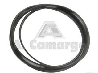 Anel Vedador 1860838 para Tratores Massey Ferguson