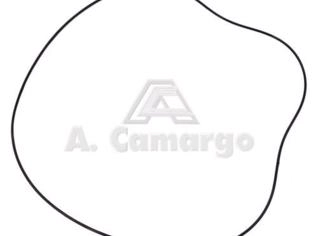 Anel Vedação Diferencial Traseiro Massey Ferguson