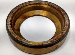 Anel 30174000 para Tratores Valtra - Panegossi