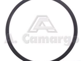 Anel D2NN-3R-543 para Tratores Ford 6600/6610