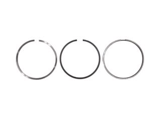 Anel A0210510 STD - MAHLE METAL LEVE