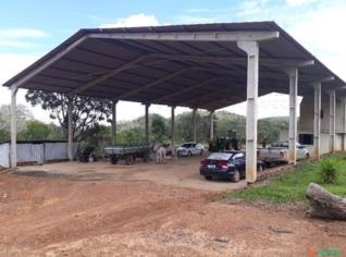 Fazenda Santa Cruz em Formosa - 383 hectares