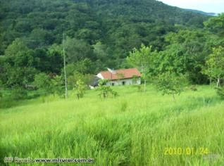 Fazenda 91 ha para pecuária e turismo em Pirenópolis