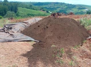 Esterco Orgânico para Fertilização - Alta Qualidade