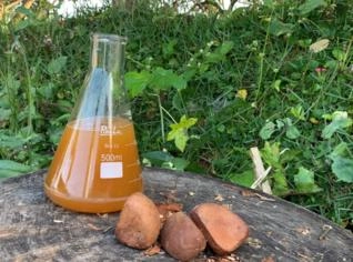 Óleo Vegetal de Andiroba Natural - Litro